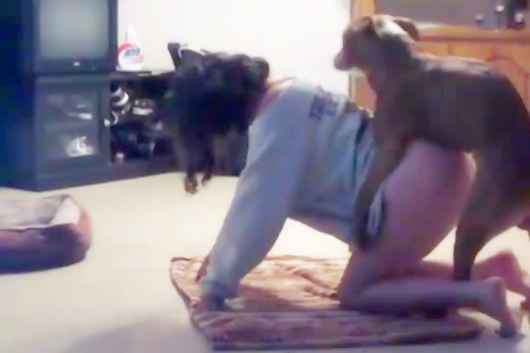lsm beastiality dog sex teen 