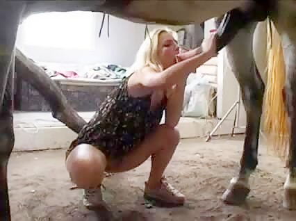 Wife Gives Blowjob With Horse - Bestialitylovers - Watch Free Porn Video