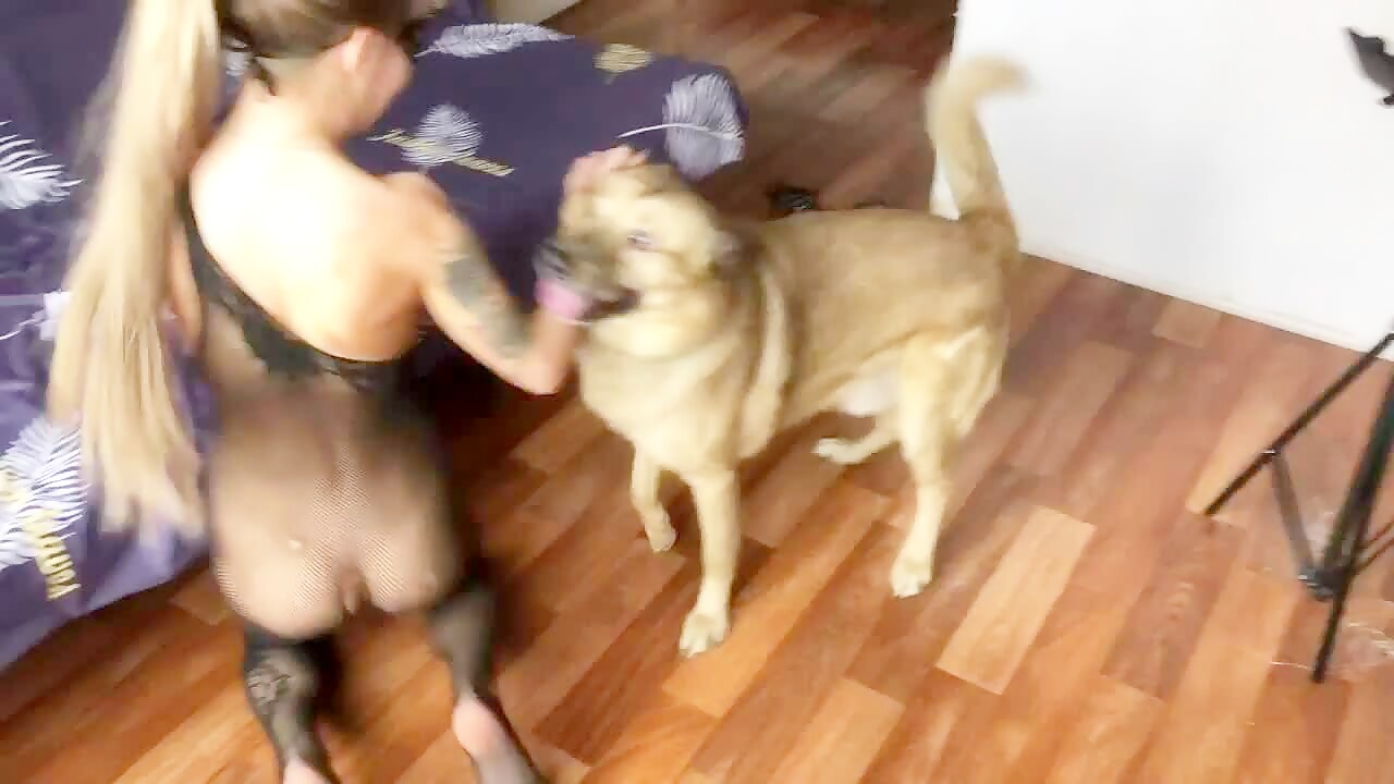 bilara.com animal  porn Free Premium Video Dog Sex - Bestialitylovers - Watch Free Porn Video