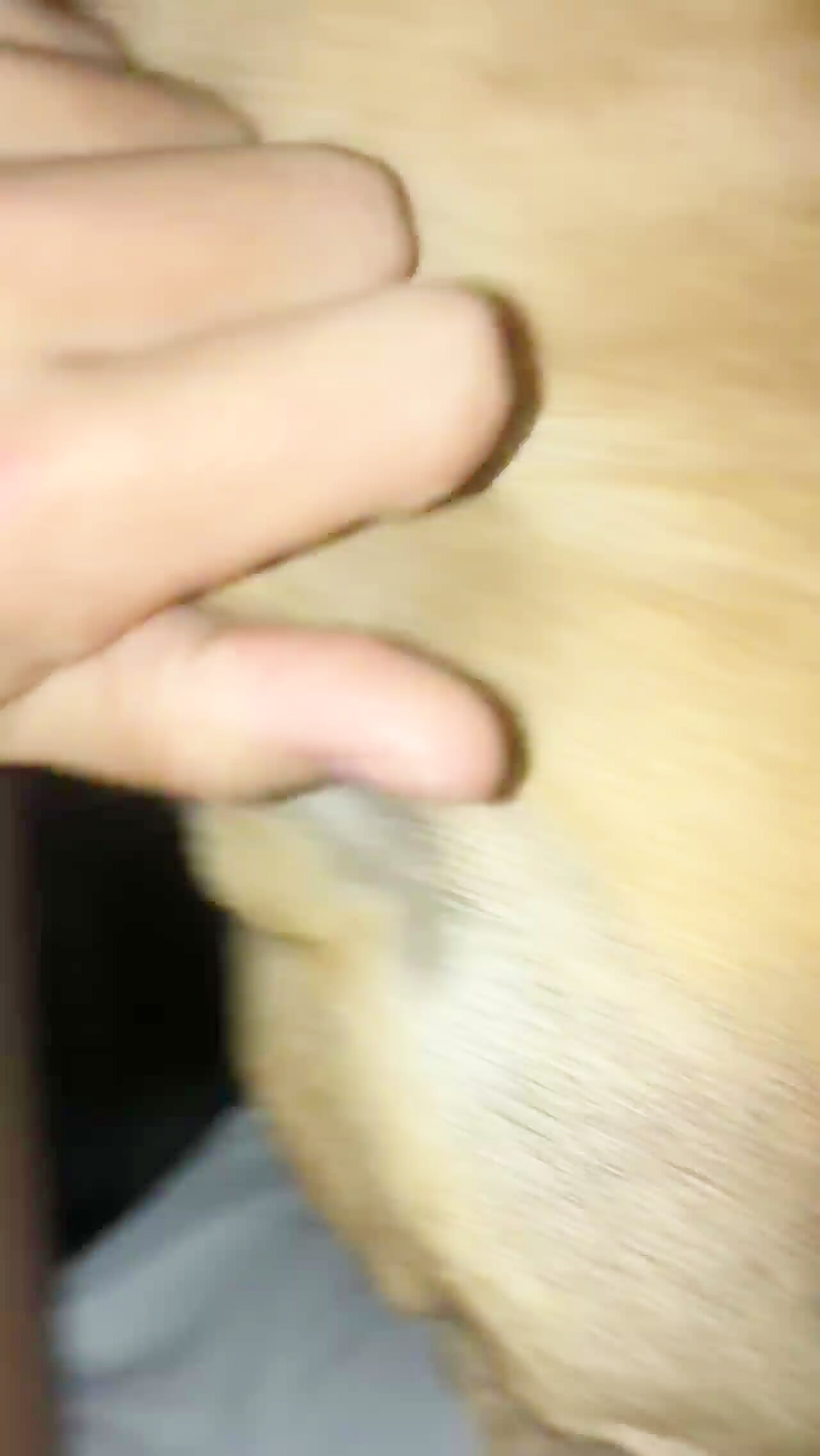 Hot & Close Up Pussy Licking With My Dog - Bestialitylovers ...